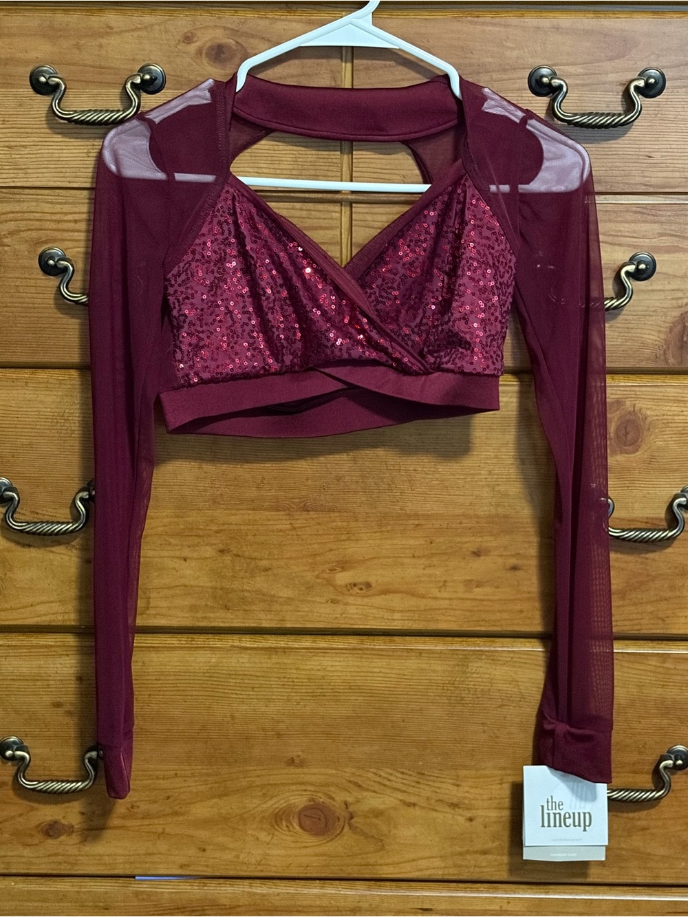 The Lineup Women's Burgundy Sequin Mesh Long-Sleeve Crop Top